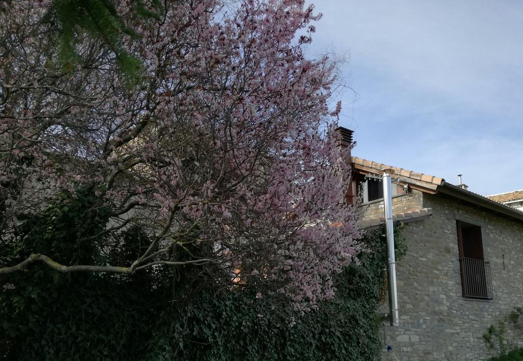 O Zierzo Villa Jaca Bagian luar foto